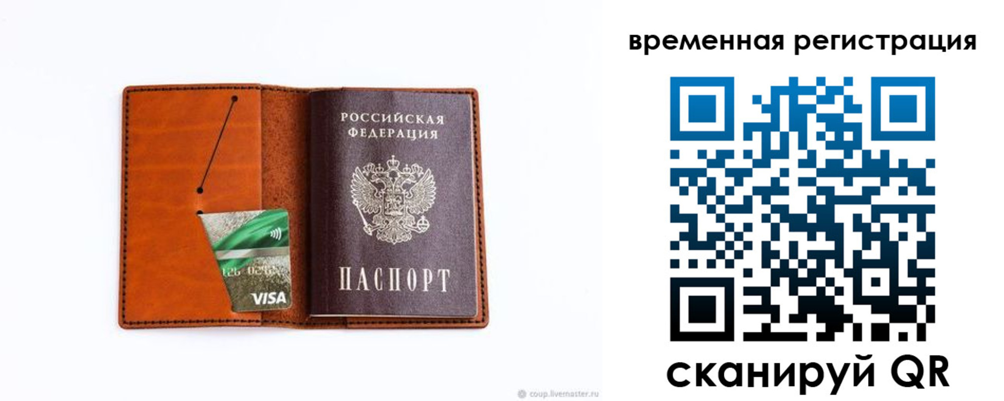 прописка для школы в Мурманской области